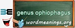 WordMeaning blackboard for genus ophiophagus